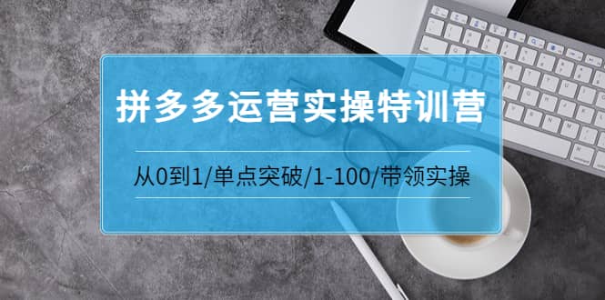 拼多多运营实操特训营:从0到1/单点突破/1-100/带领实操 价值2980元