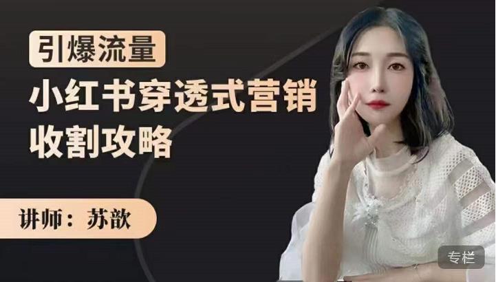 小红书穿透式营销收割攻略,引爆流量,助你玩转小红书