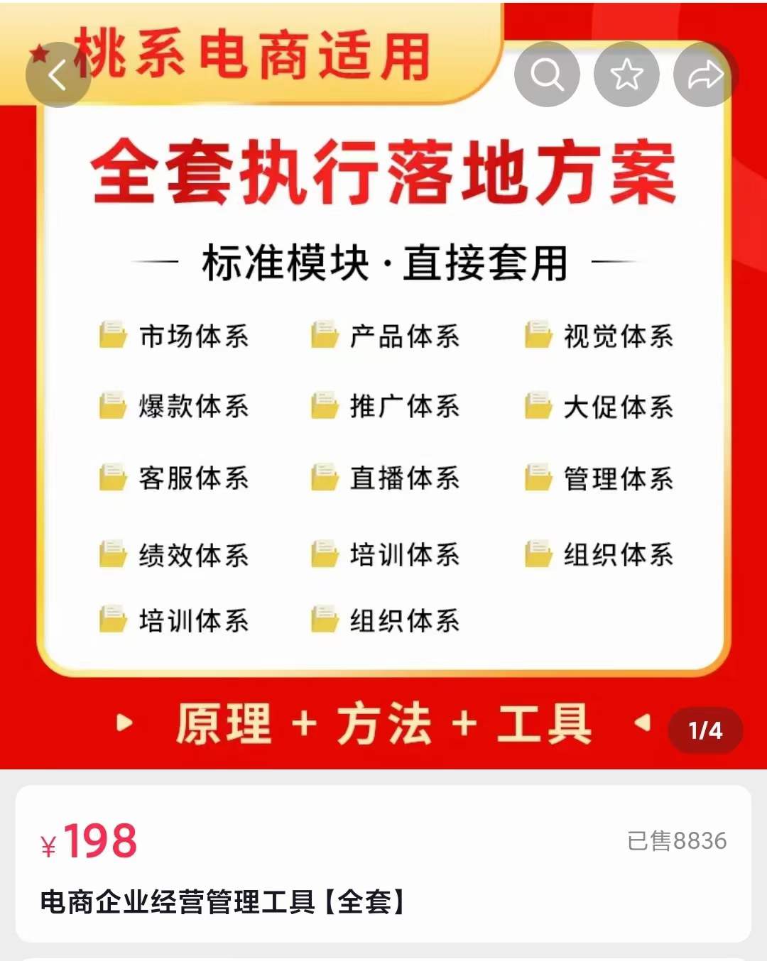 外面卖198·电商企业经营管理工具:全套执行落地方案 标准模块·直接套用