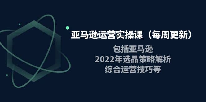 亚马逊运营实操课(每周更新)包括亚马逊2022选品策略解析,综合运营技巧等