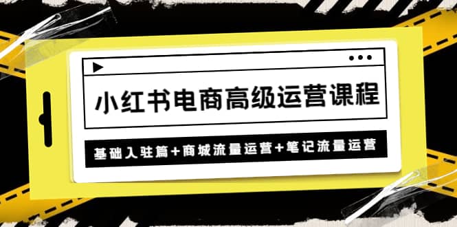 小红书电商高级运营课程:基础入驻篇+商城流量运营+笔记流量运营