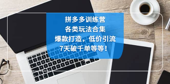 拼多多训练营:各玩法合集,爆款打造,低价引流,7天破千单等等