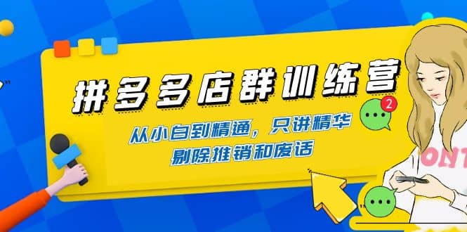 拼多多店群训练营:从小白到精通,只讲精华,剔除推销和废话