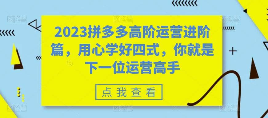 2023拼多多高阶运营进阶篇,用心学好四式,你就是下一位运营高手