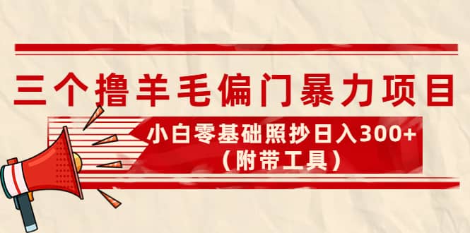 外面卖998的三个撸羊毛项目,小白零基础照抄(附带工具)