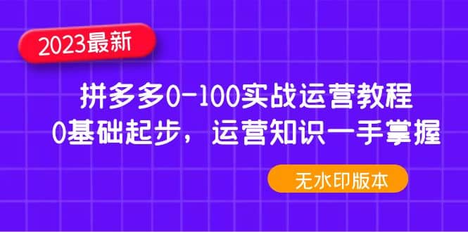 2023拼多多0-100实战运营教程,0基础起步,运营知识一手掌握(无水印)