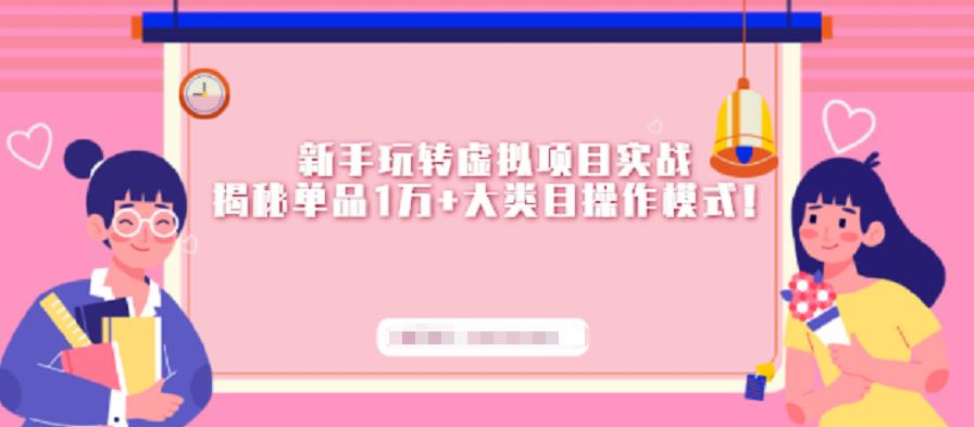 新手玩转虚拟项目实战,揭秘单品1万+大类目操作模式【视频课程】
