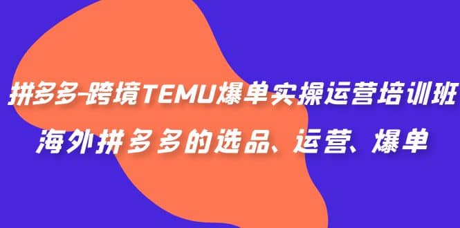 拼多多-跨境TEMU爆单实操运营培训班,海外拼多多的选品、运营、爆单