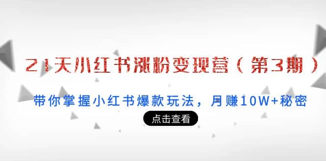 21天小红书涨粉变现营(第3期):带你掌握小红书爆款玩法,月赚10W+秘密