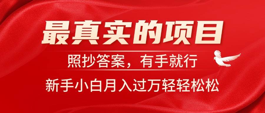 最真实的项目,照抄答案,有手就行,新手小白月入过万轻轻松松
