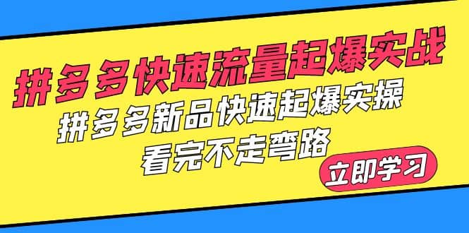 拼多多-快速流量起爆实战,拼多多新品快速起爆实操,看完不走弯路